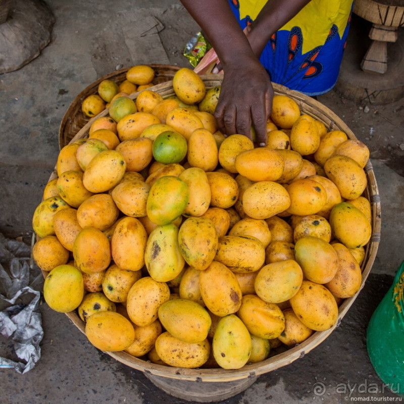 Альбом истории "Африканское ралли. Часть 8. Замбия."