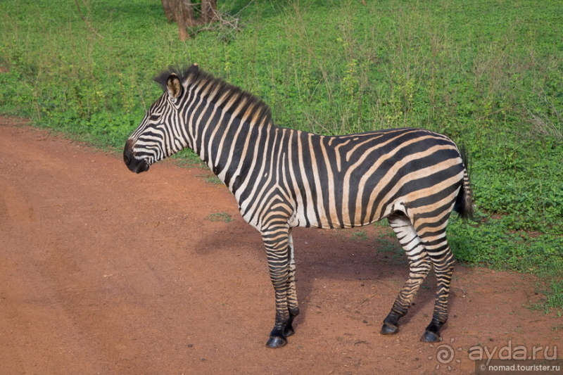 Альбом истории "Африканское ралли. Часть 8. Замбия."