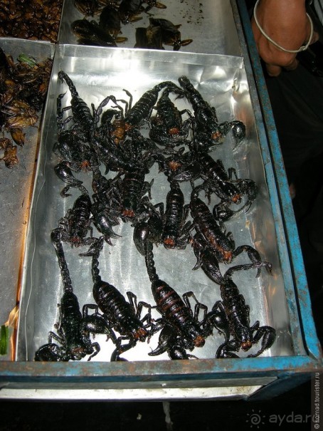 Древние храмы и вечные пляжи. Часть 4