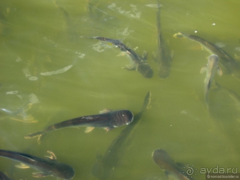 Древние храмы и вечные пляжи. Часть 4