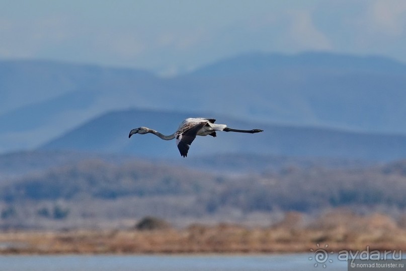 Балканское кольцо. Часть 9