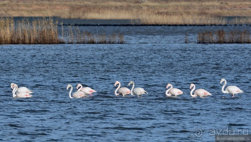 Балканское кольцо. Часть 9