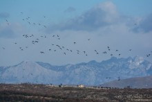 Балканское кольцо. Часть 9