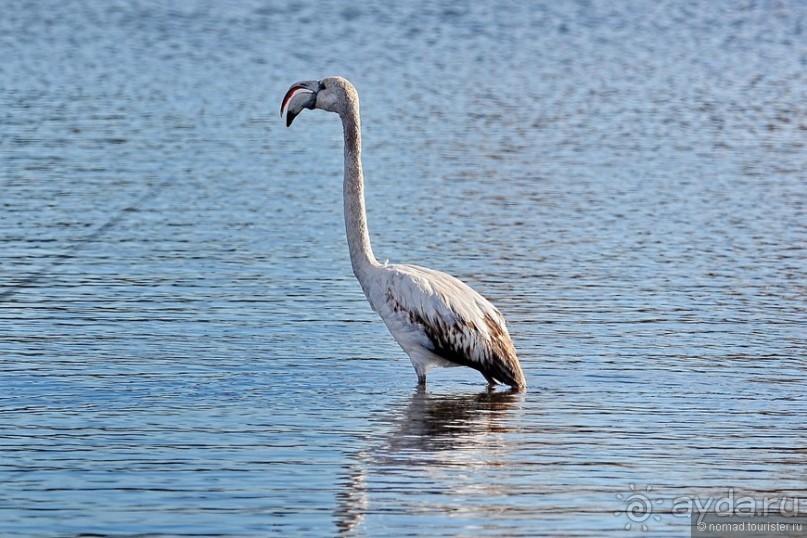 Балканское кольцо. Часть 9