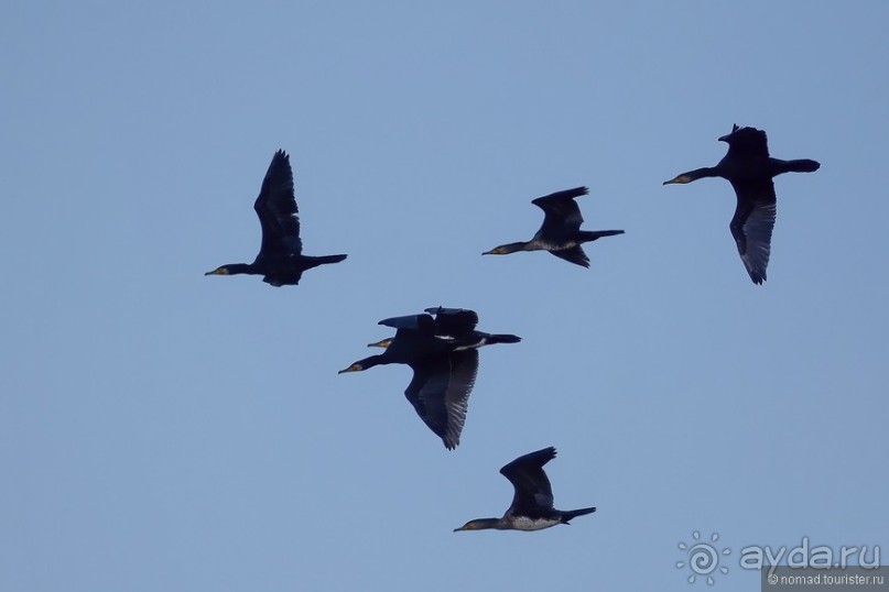 Балканское кольцо. Часть 9