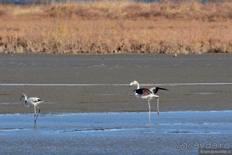 Балканское кольцо. Часть 9