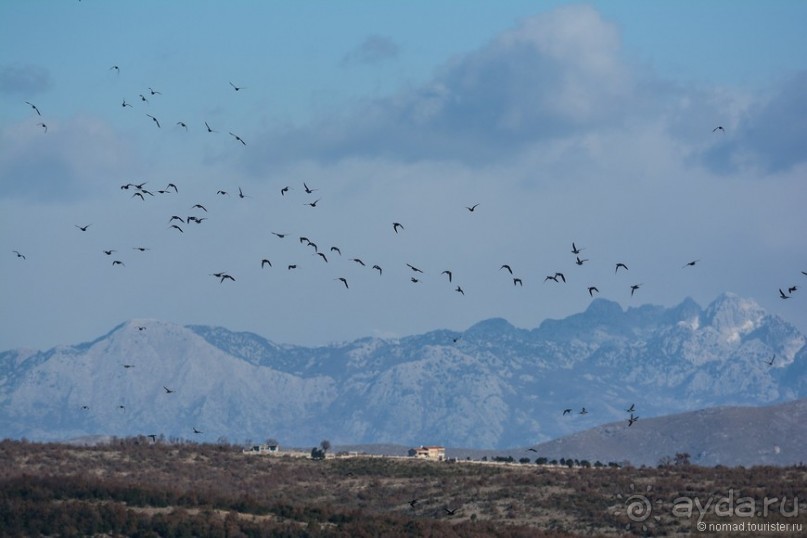 Балканское кольцо. Часть 9