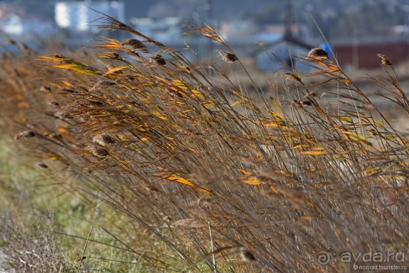 Балканское кольцо. Часть 9