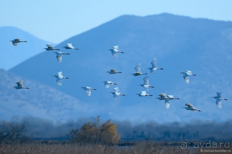 Балканское кольцо. Часть 9