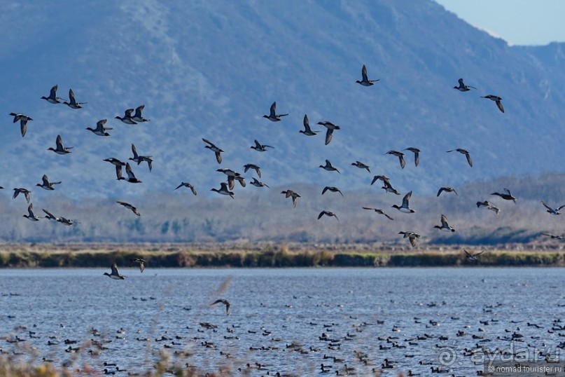 Балканское кольцо. Часть 9