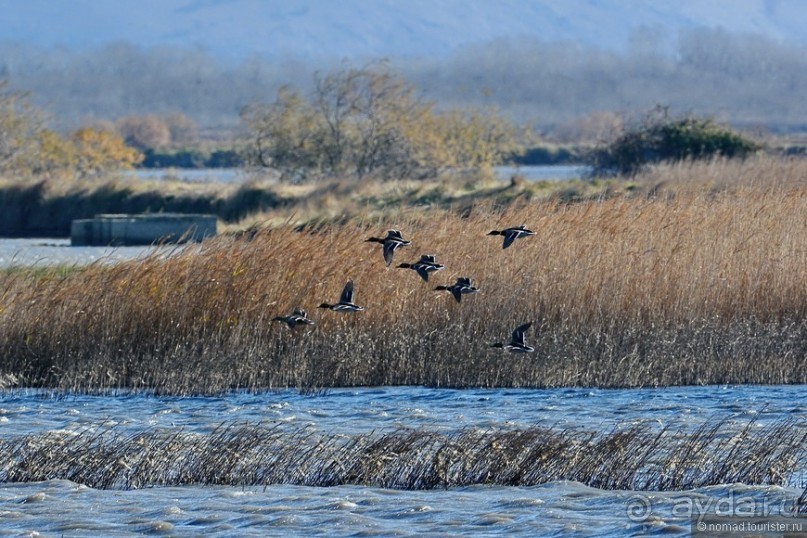Балканское кольцо. Часть 9