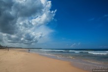 Цейлон на троих. Часть 8