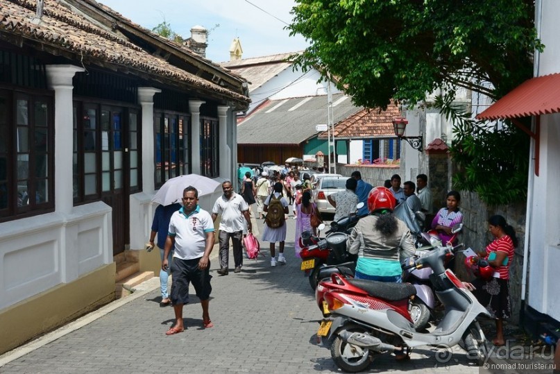 Цейлон на троих. Часть 8