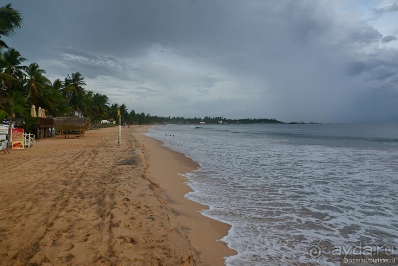 Цейлон на троих. Часть 8