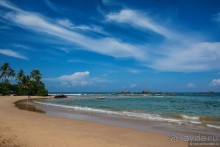 Цейлон на троих. Часть 8