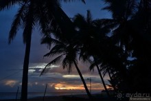 Цейлон на троих. Часть 8