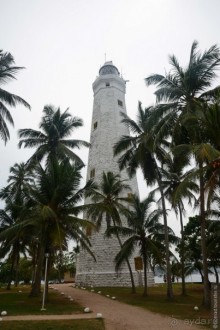 Цейлон на троих. Часть 8