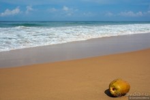 Цейлон на троих. Часть 8