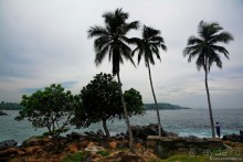 Цейлон на троих. Часть 8