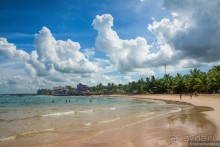 Цейлон на троих. Часть 8