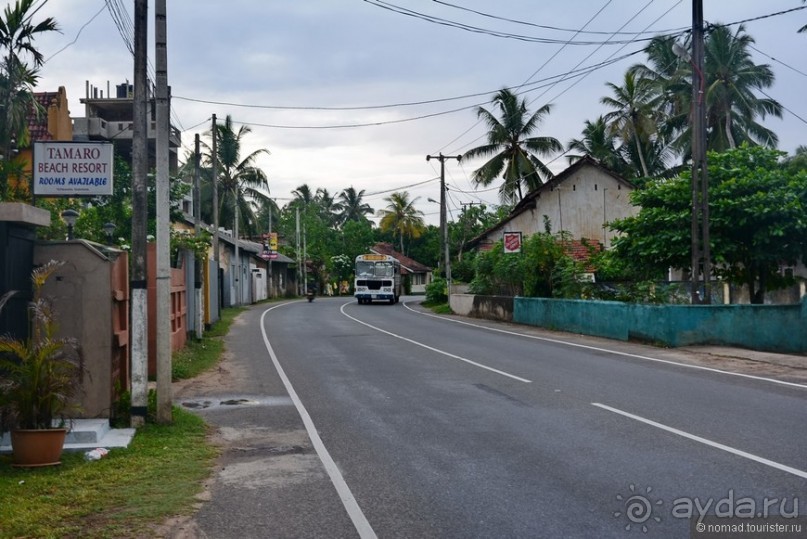 Цейлон на троих. Часть 8