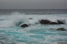 Цейлон на троих. Часть 8