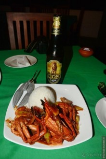 Цейлон на троих. Часть 8