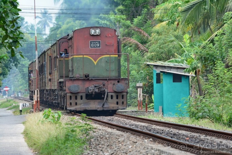 Цейлон на троих. Часть 8