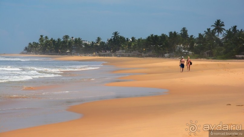 Цейлон на троих. Часть 8