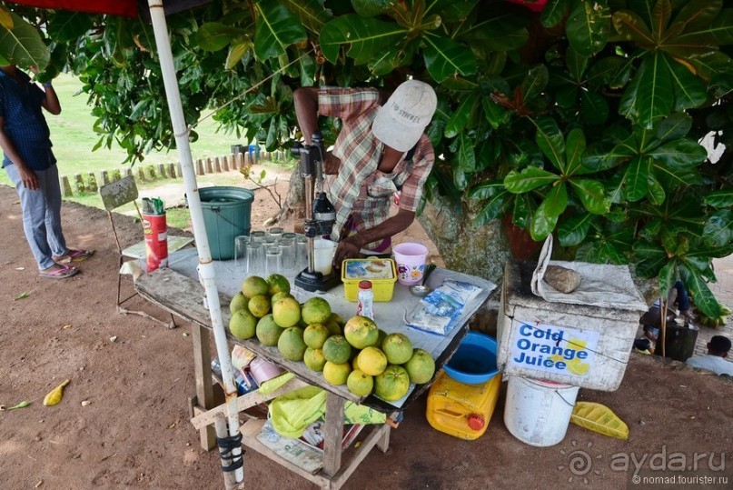 Цейлон на троих. Часть 8