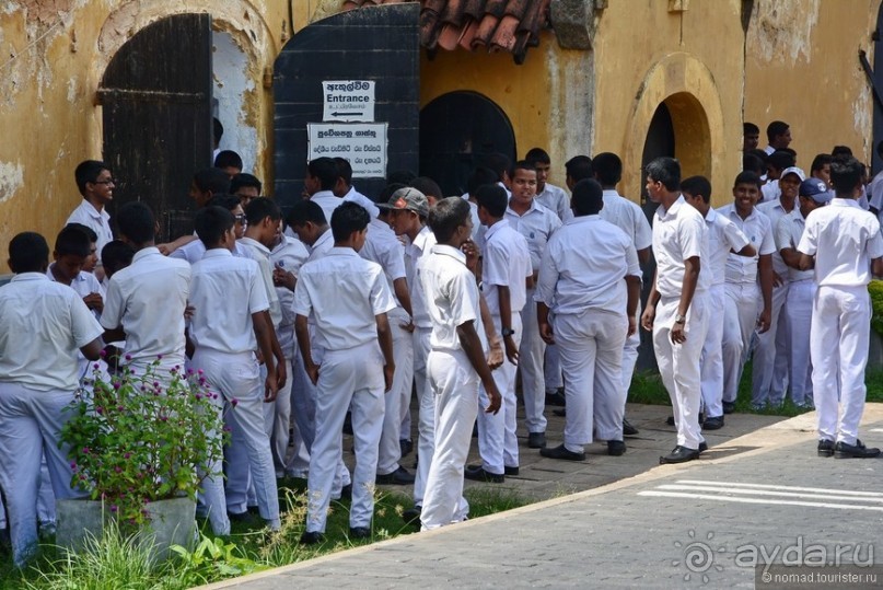 Цейлон на троих. Часть 8