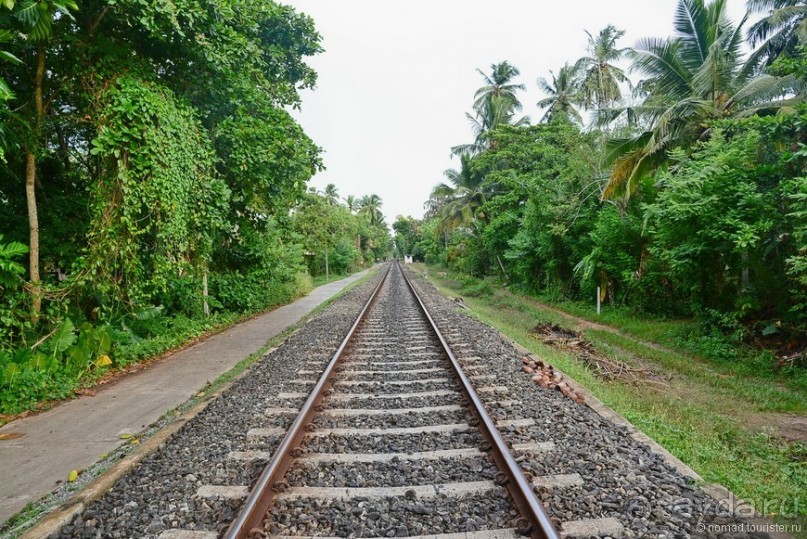 Цейлон на троих. Часть 8