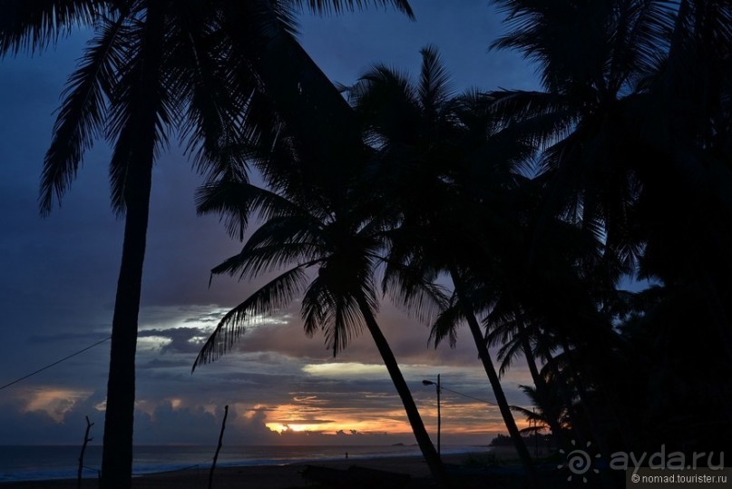 Цейлон на троих. Часть 8