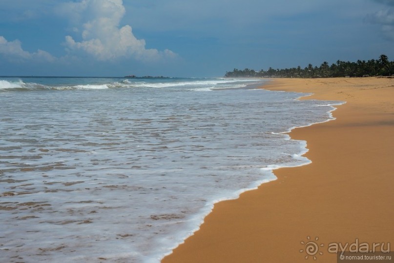 Цейлон на троих. Часть 8