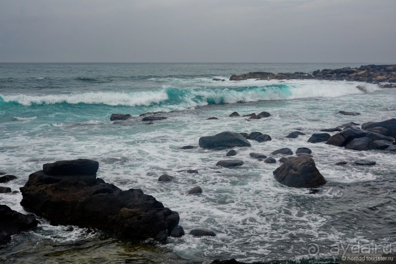 Цейлон на троих. Часть 8