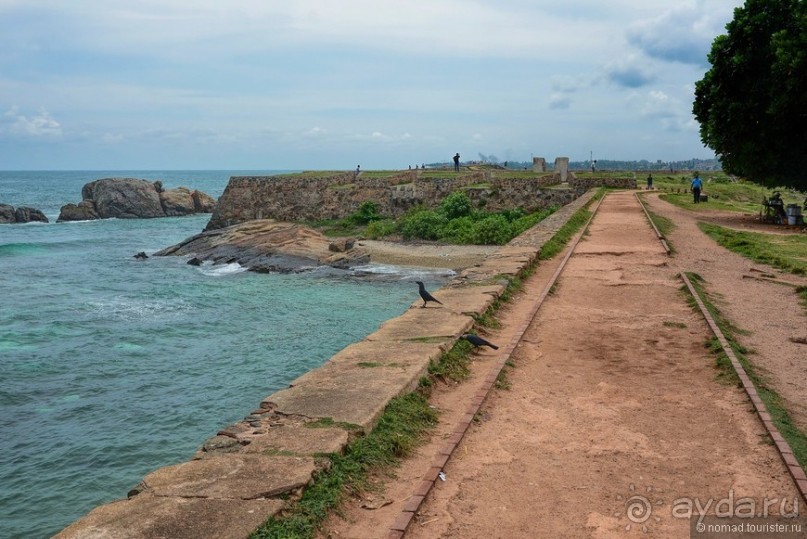 Цейлон на троих. Часть 8