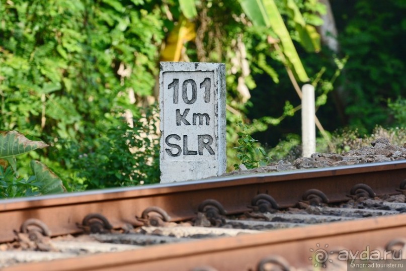 Цейлон на троих. Часть 8