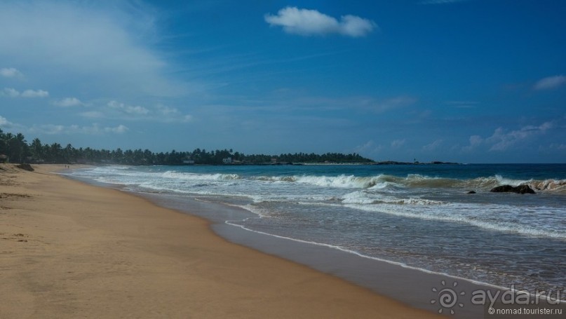 Цейлон на троих. Часть 8