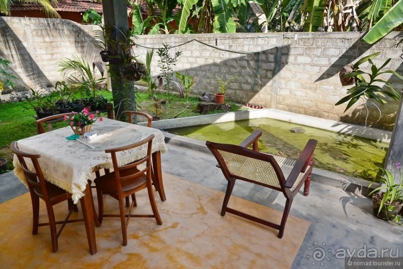 Цейлон на троих. Часть 8