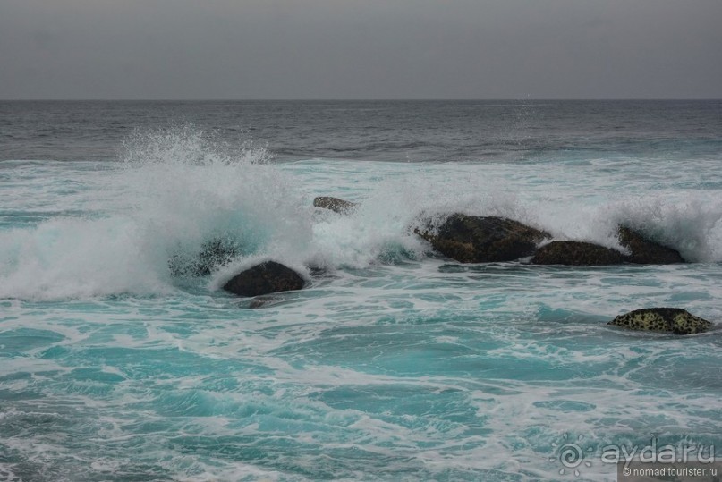 Цейлон на троих. Часть 8