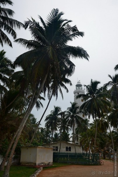 Цейлон на троих. Часть 8