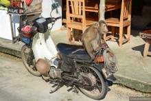 Азиатский квест, или поди туда, не знаю куда. Часть 6