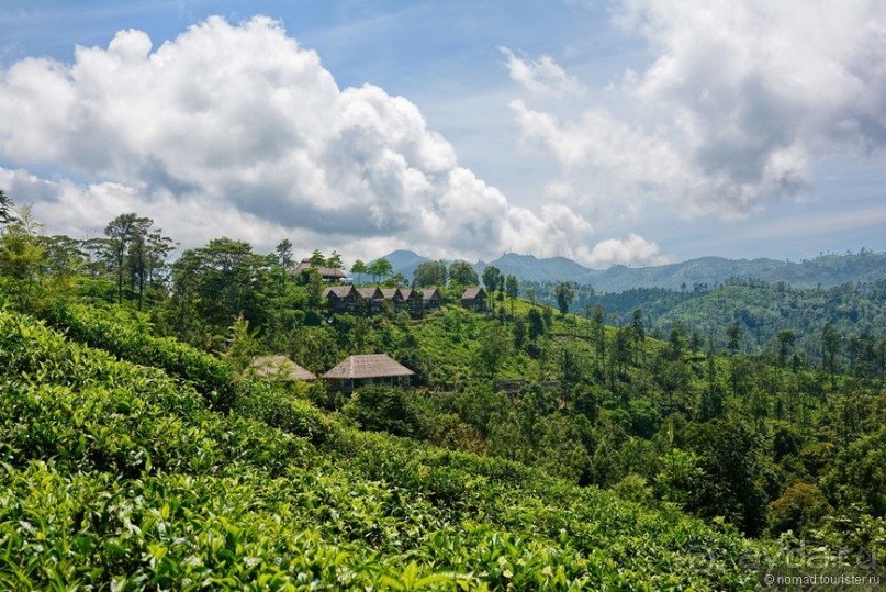 Цейлон на троих. Часть 6