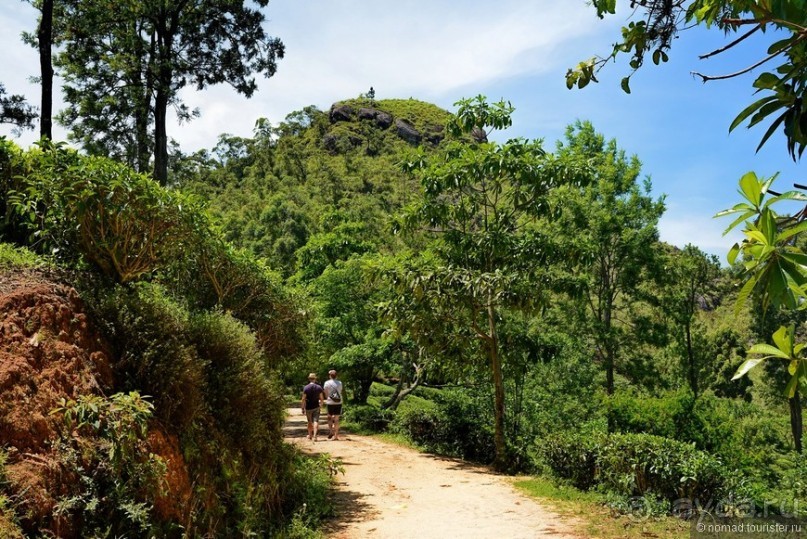 Цейлон на троих. Часть 6