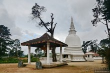 Цейлон на троих. Часть 6