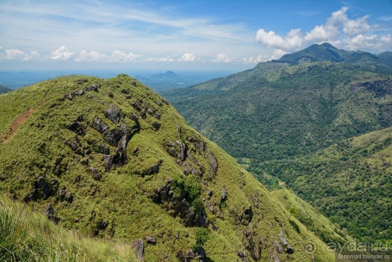 Цейлон на троих. Часть 6