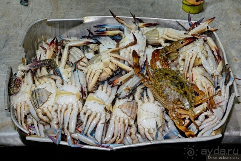 Цейлон на троих. Часть 6