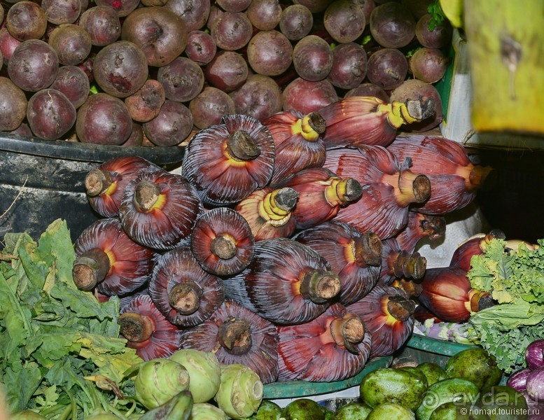 Цейлон на троих. Часть 6