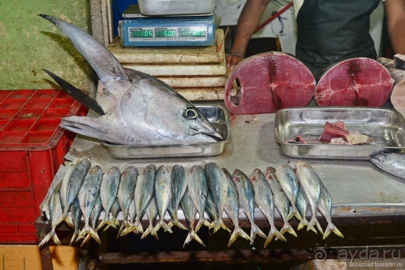 Цейлон на троих. Часть 6