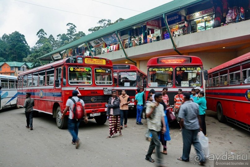 фото Нувара Элии
